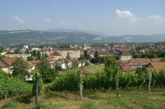 KONICA MINOLTA DIGITAL CAMERA