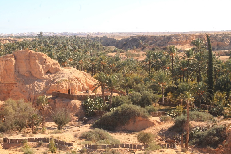 À Compiègne, oasis en danger : les solutions de l’agro-écologie