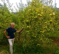 20150815_123653 (1)_resultat