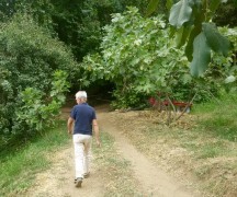 20150815_124408 (1)_resultat