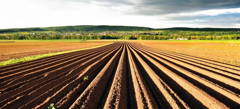 Belley : 14ème rendez-vous de la mondialisation les 6 et 7 février 2016