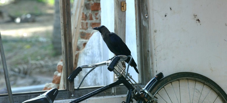 A Saint-Jean-Le-Blanc (45) : « Ce que j’ai changé dans ma vie pour changer le monde » A Saint-Jean-Le-Blanc (45) : « Ce que j’ai changé dans ma vie pour changer le monde »