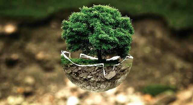 À Roanne, une rencontre autour de Laudato si’