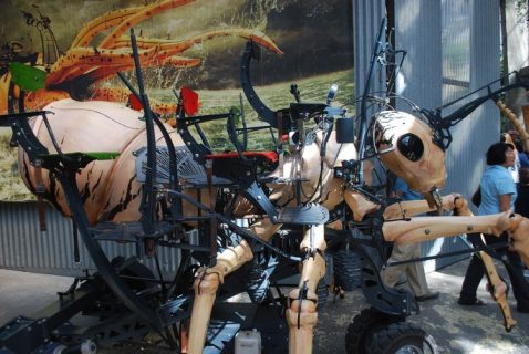 La Fourmi Géante_resultat