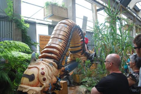 La chenille_resultat