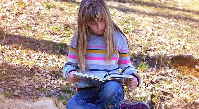 Bibliothèques de rue : « Quand est-ce que vous ouvrez dehors ? » Bibliothèques de rue : « Quand est-ce que vous ouvrez dehors ? »