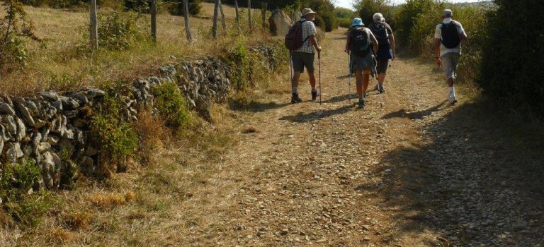 Une sortie en Revermont