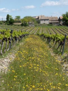 Le Mas d'Intras en Ardèche accueillera les Amis de la Drôme, le 17 septembre