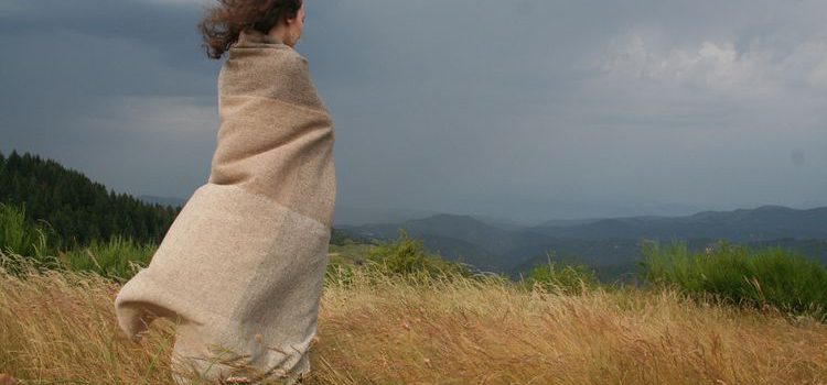 Made in Drôme, Made in Ardèche
