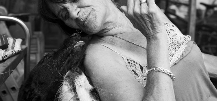 À Brive, paroles de Manouches