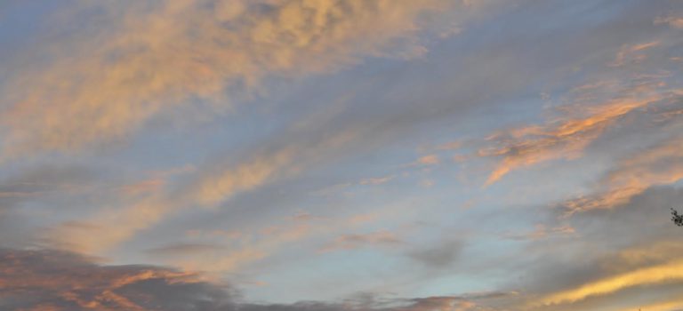 Un lundi entre hommes