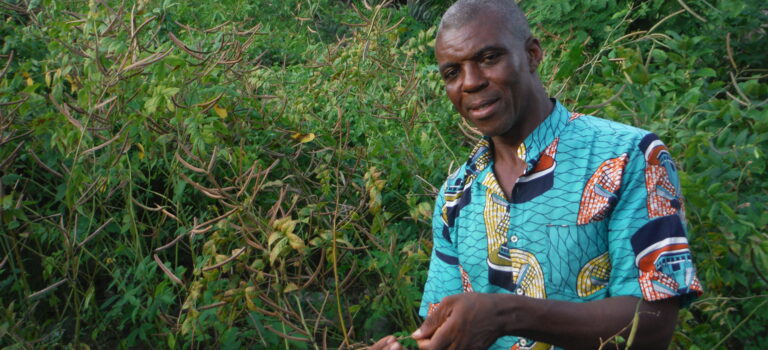 Conférence avec Jude Okeke, prêtre et phytothérapeute au Congo. Inscrivez-vous ! Conférence avec Jude Okeke, prêtre et phytothérapeute au Congo. Inscrivez-vous !