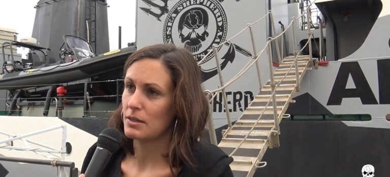 « Embarquer sur un bateau de Sea Shepherd, c’est vivre une immersion totale et profonde pour la cause écologique » « Embarquer sur un bateau de Sea Shepherd, c’est vivre une immersion totale et profonde pour la cause écologique »