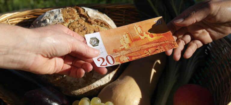 « La monnaie est un bulletin de vote » : le projet Tera expliqué par Vincent Dupuy « La monnaie est un bulletin de vote » : le projet Tera expliqué par Vincent Dupuy