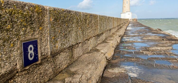 Le goût d’avancer au large pour 2022