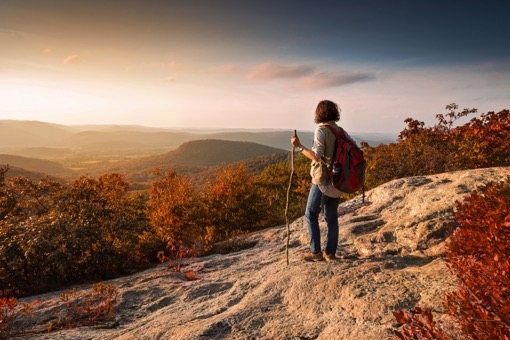 Journée Sentinelle à Paris le 9 décembre : abus, le crépuscule des idoles